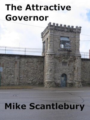 cover image of The Attractive Governor